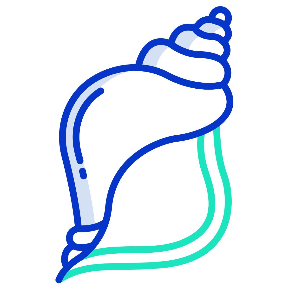 소라 껍질 icon