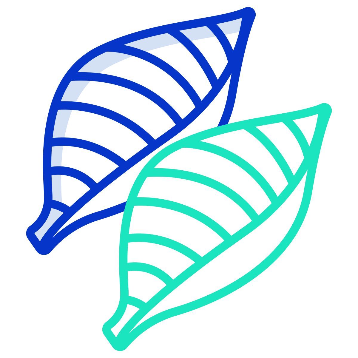 conchiglie icon