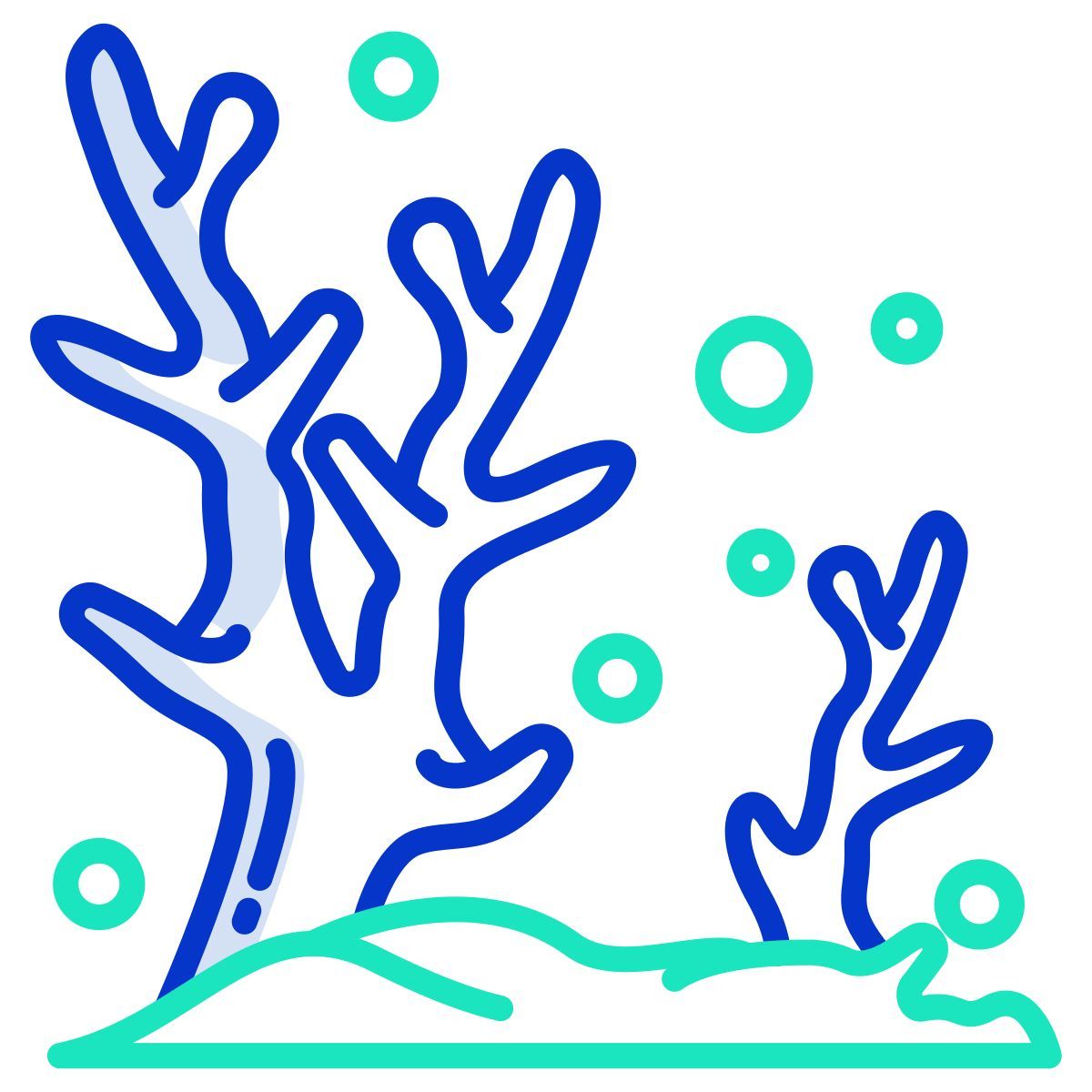 coral icon