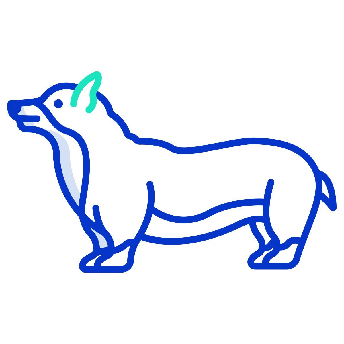 corgi icon