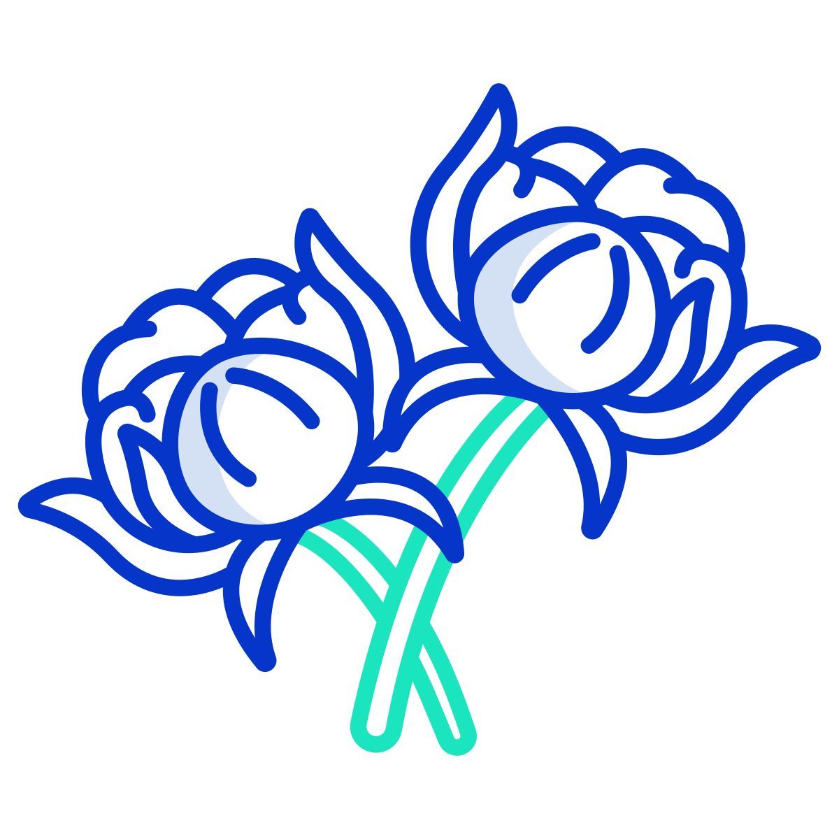 cotton icon
