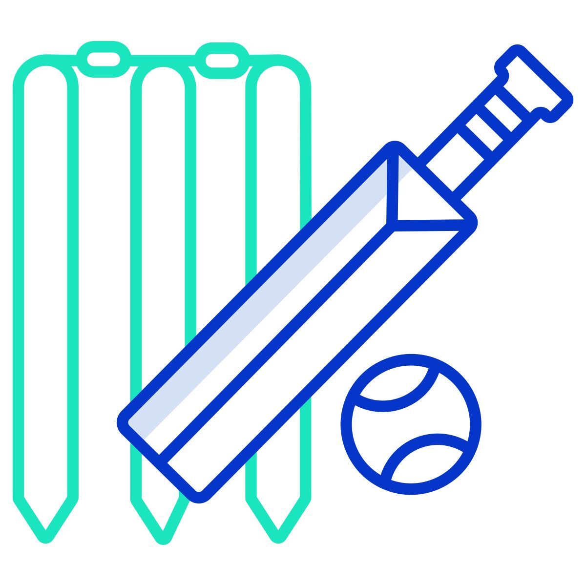 cricket icon