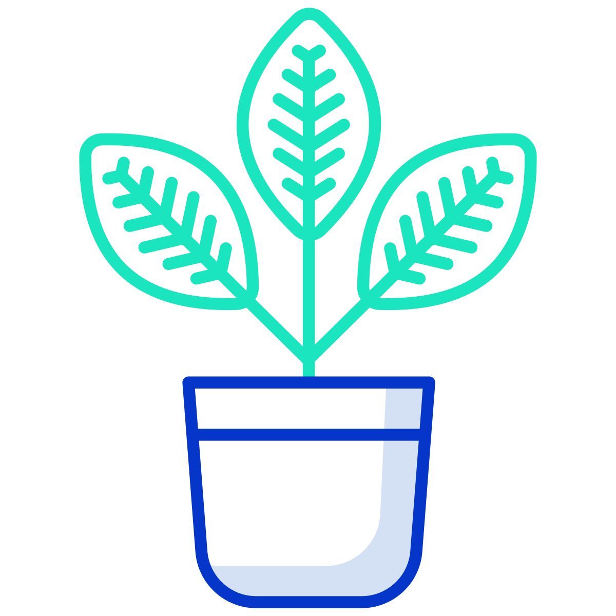 croton icon