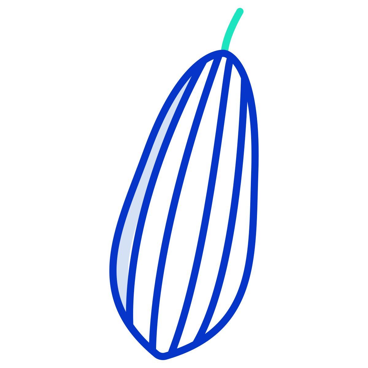 Pepino icon