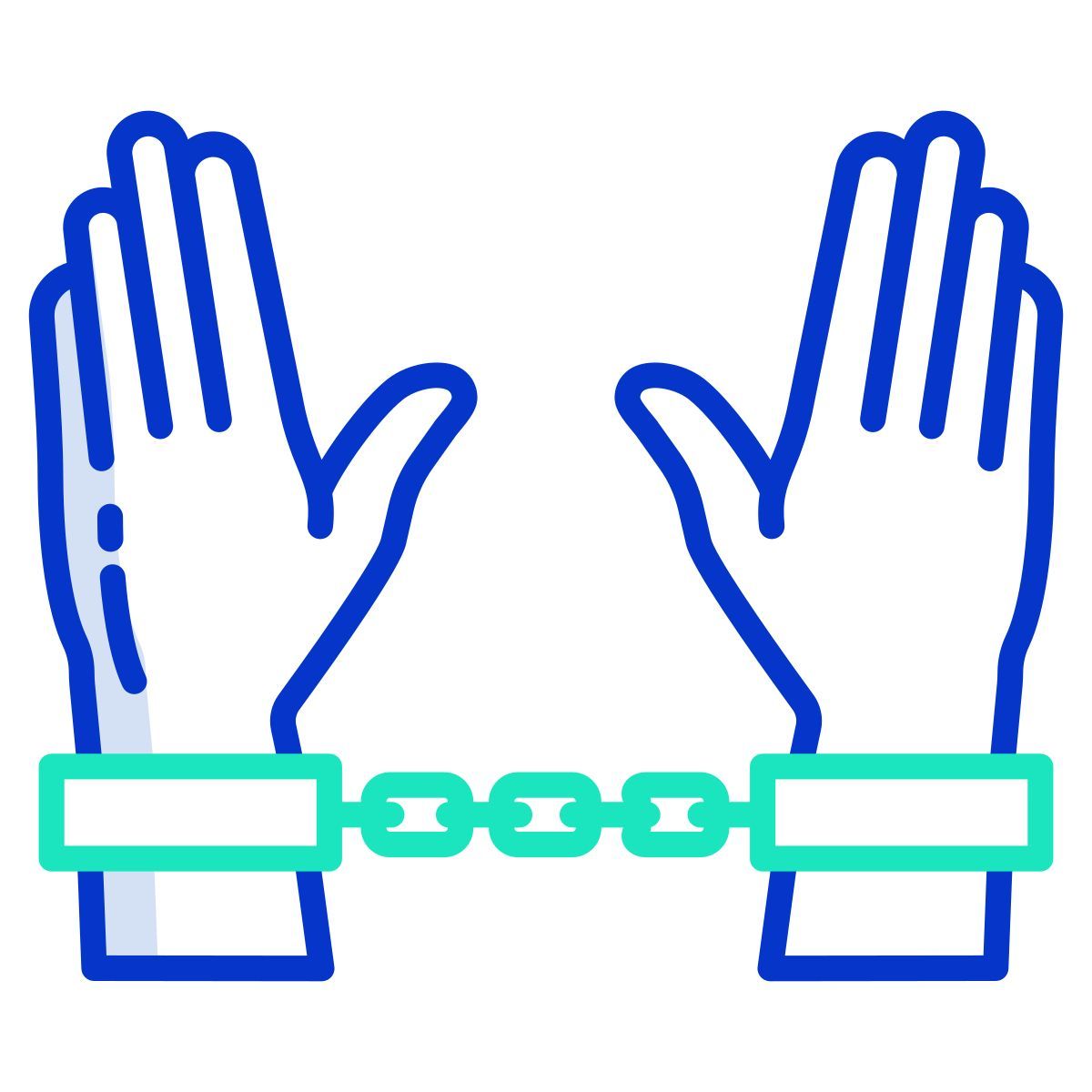 custody icon