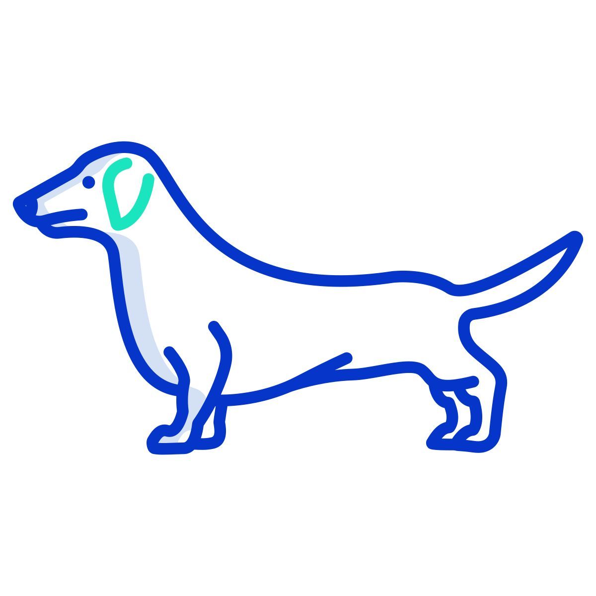 dachshund icon