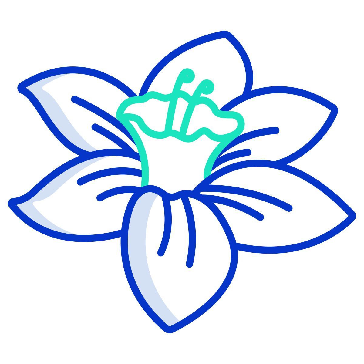 jonquille icon