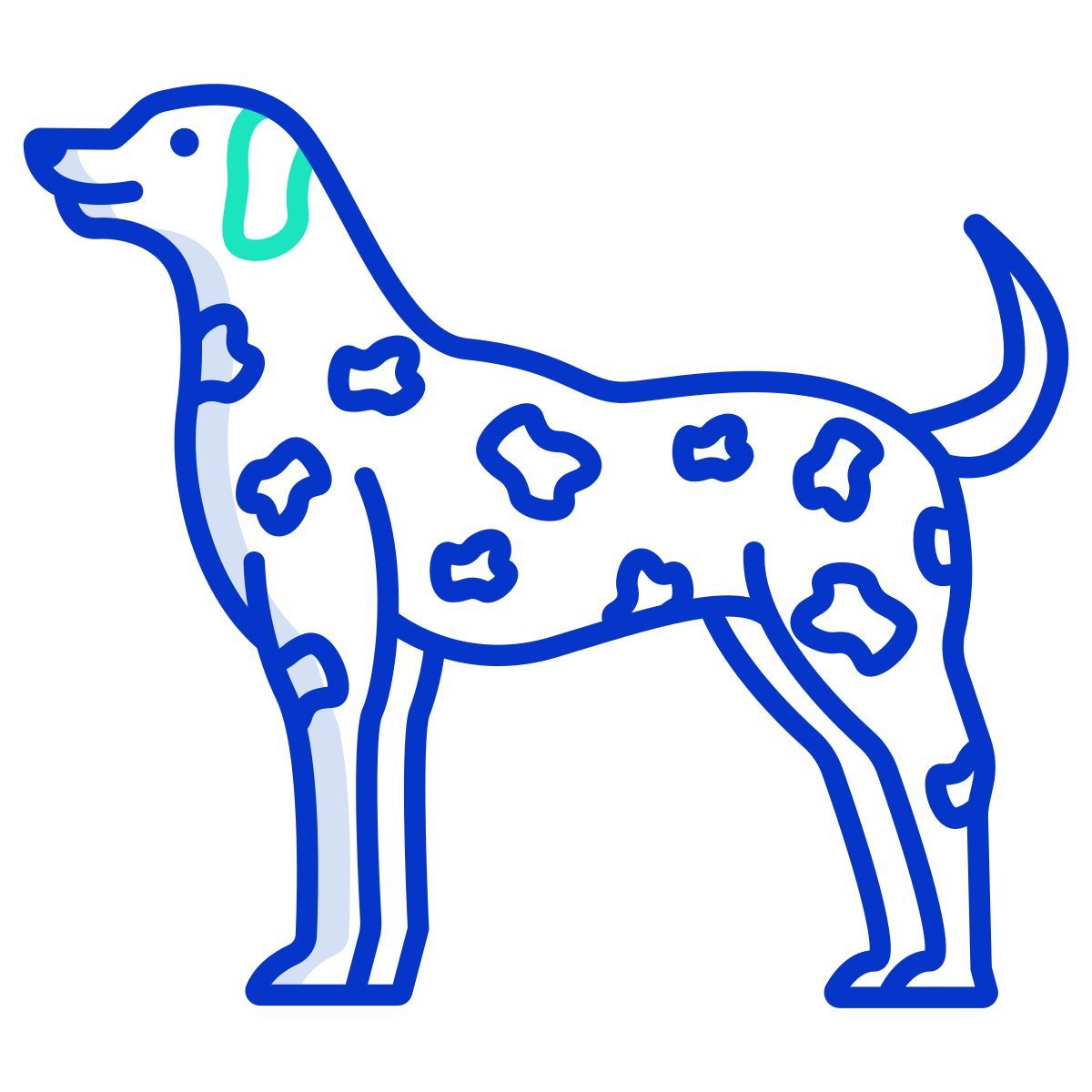 dalmation icon
