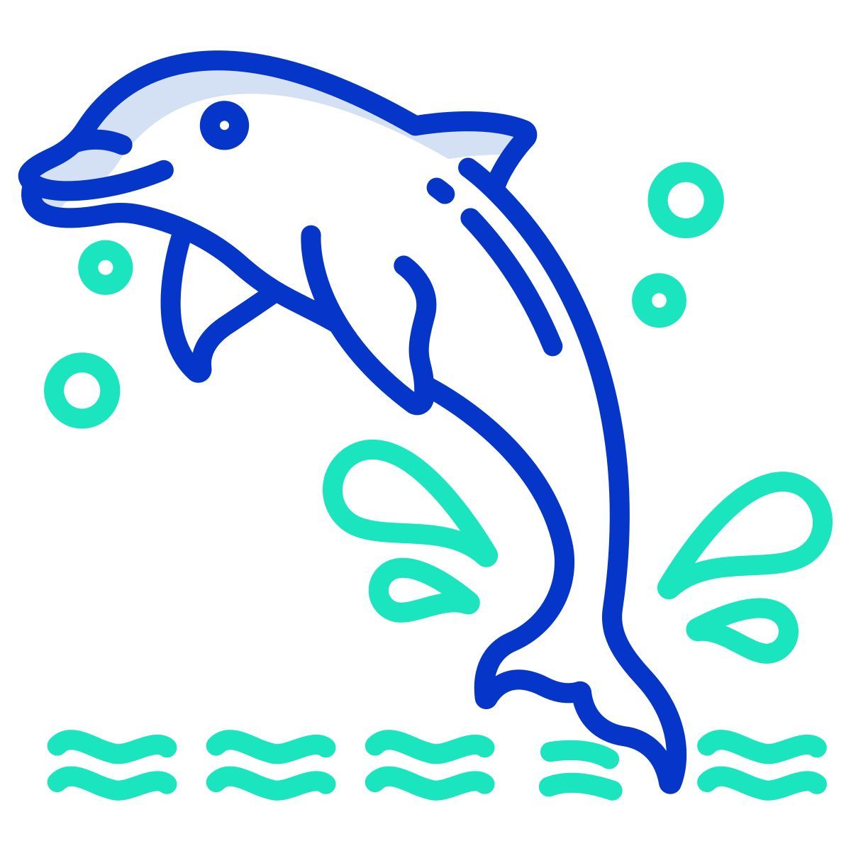 dolphin icon