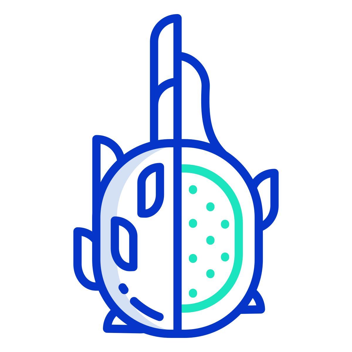 drachenfrucht icon