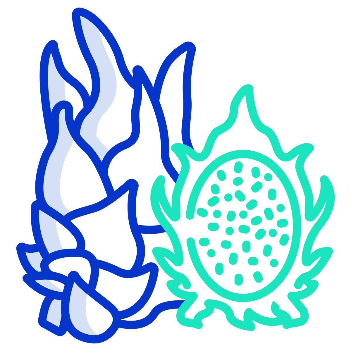 dragon fruit icon