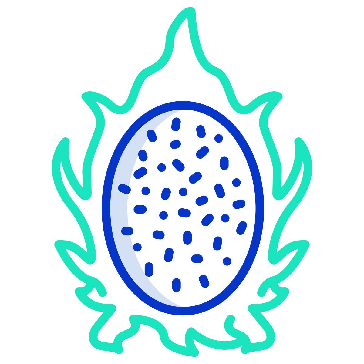 dragon fruit icon