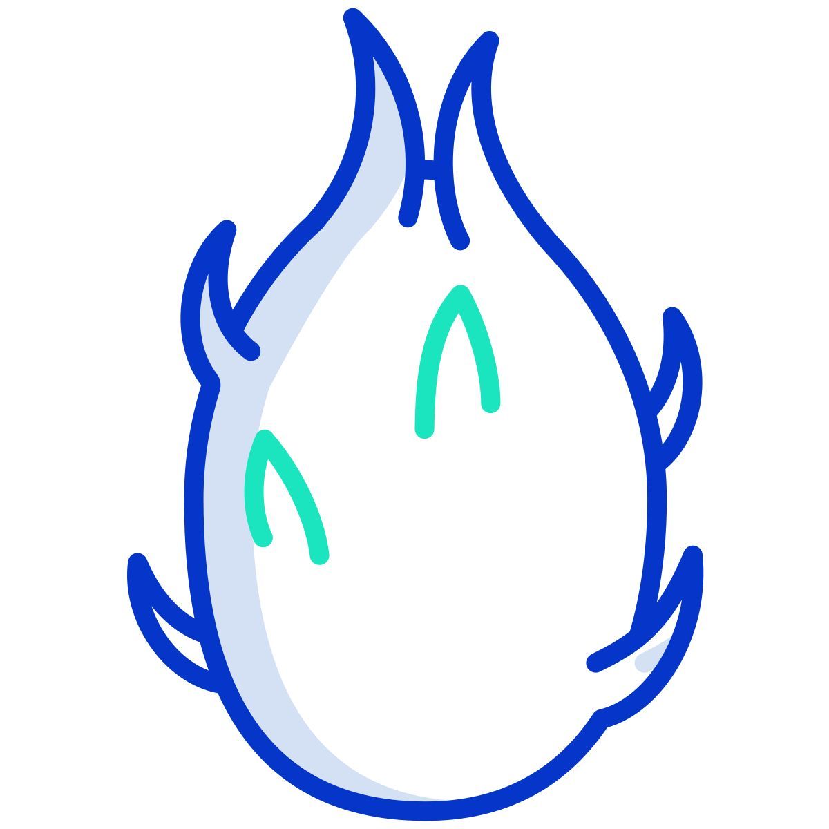 dragon fruit icon