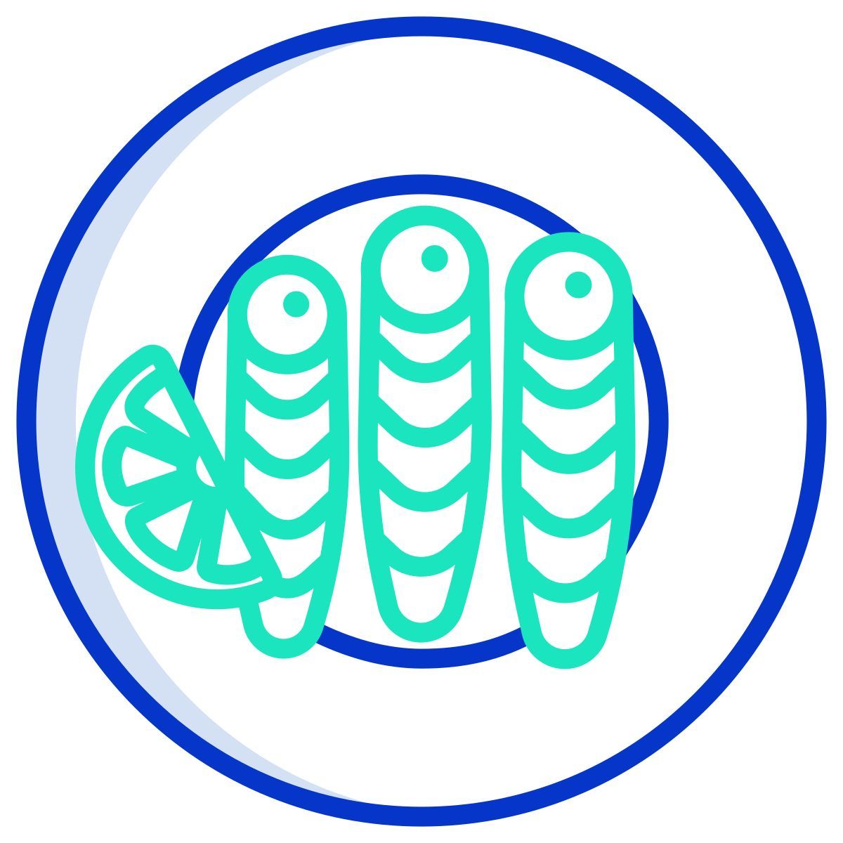 干鱼 icon