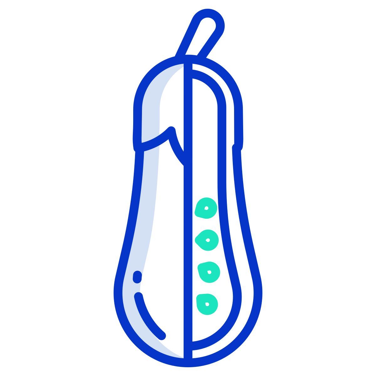 eggplant icon