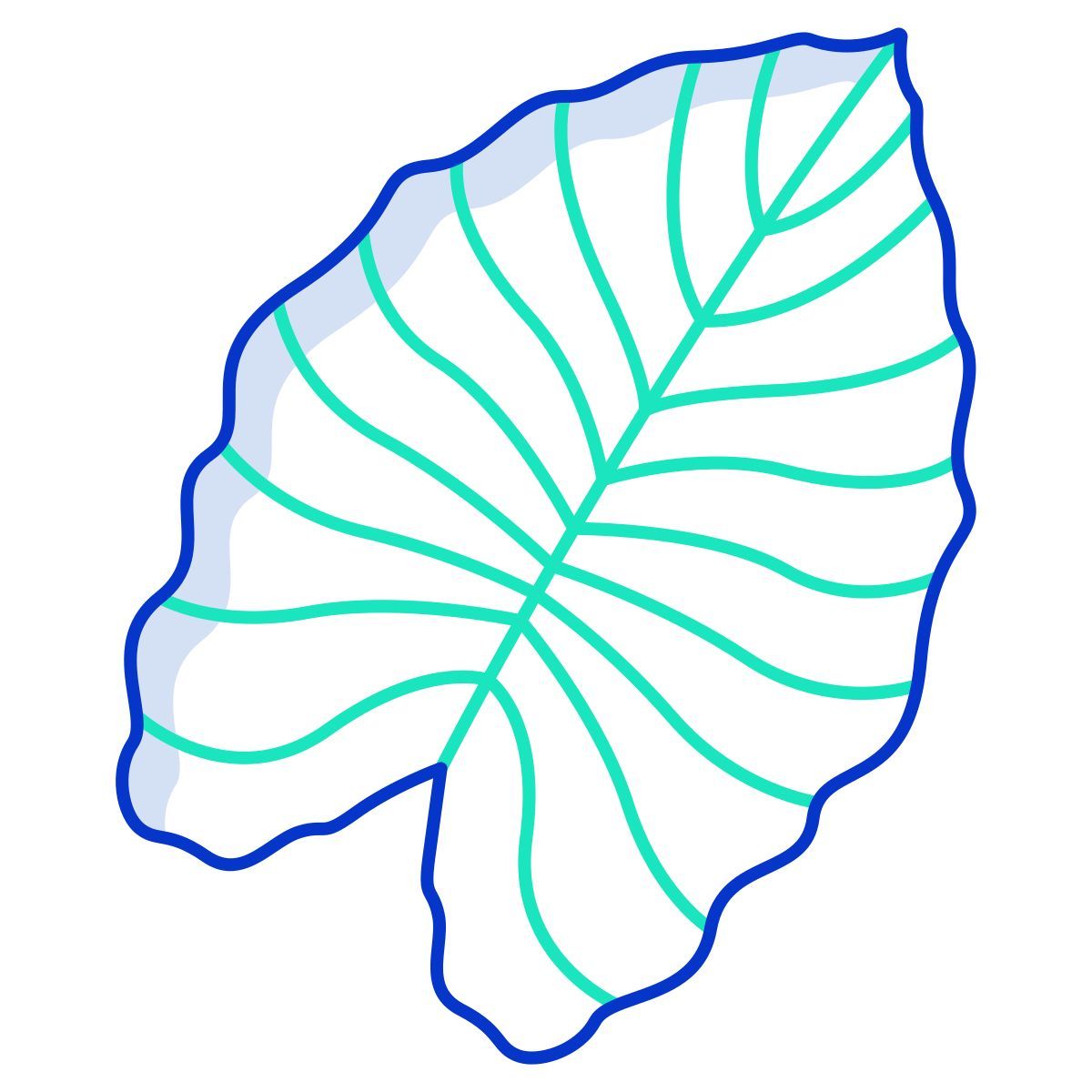 elephant ear icon