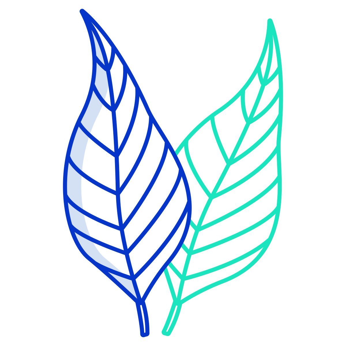 eucalyptus icon