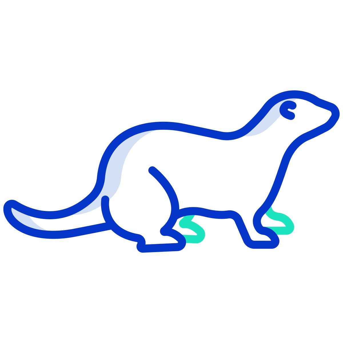 ferret icon