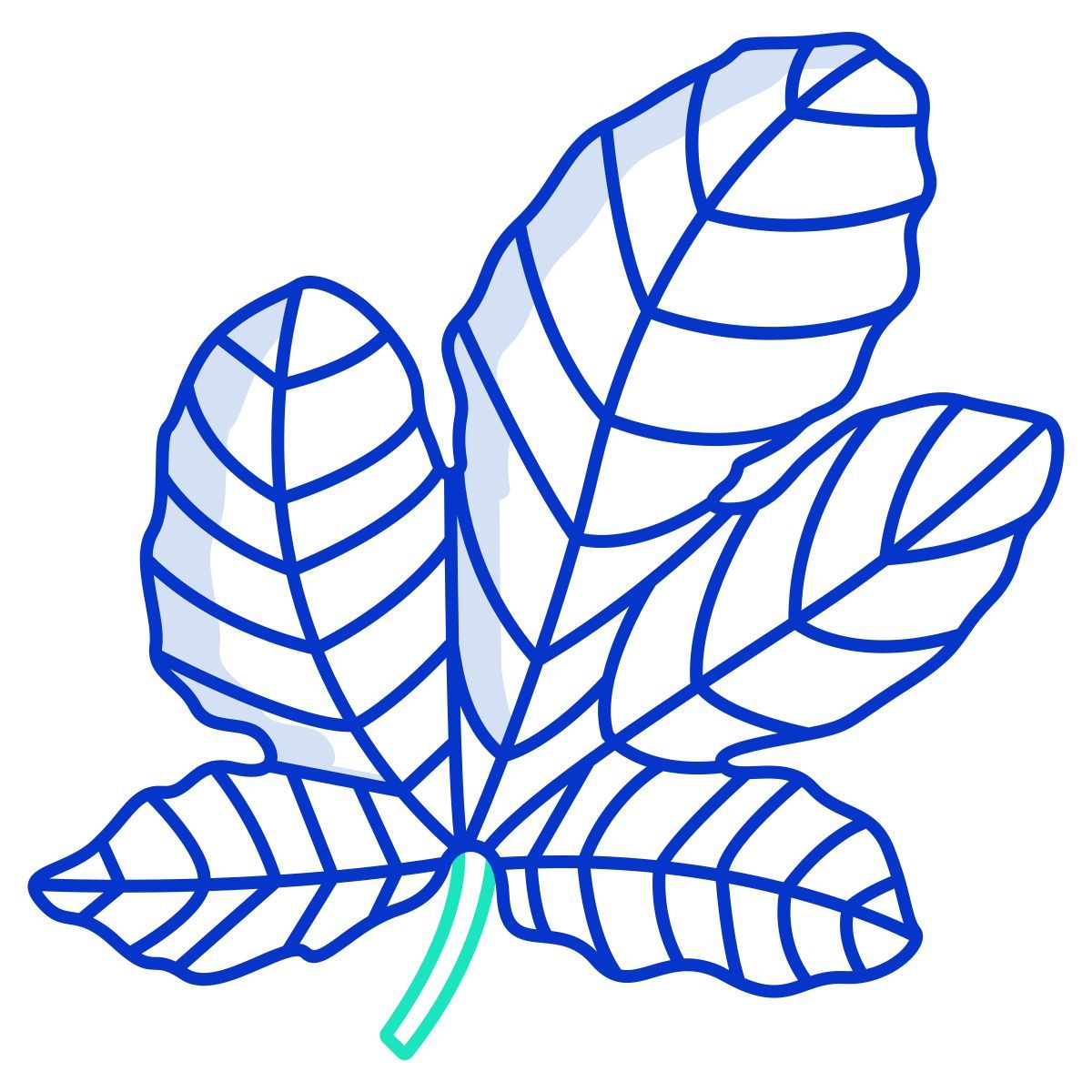 figue icon