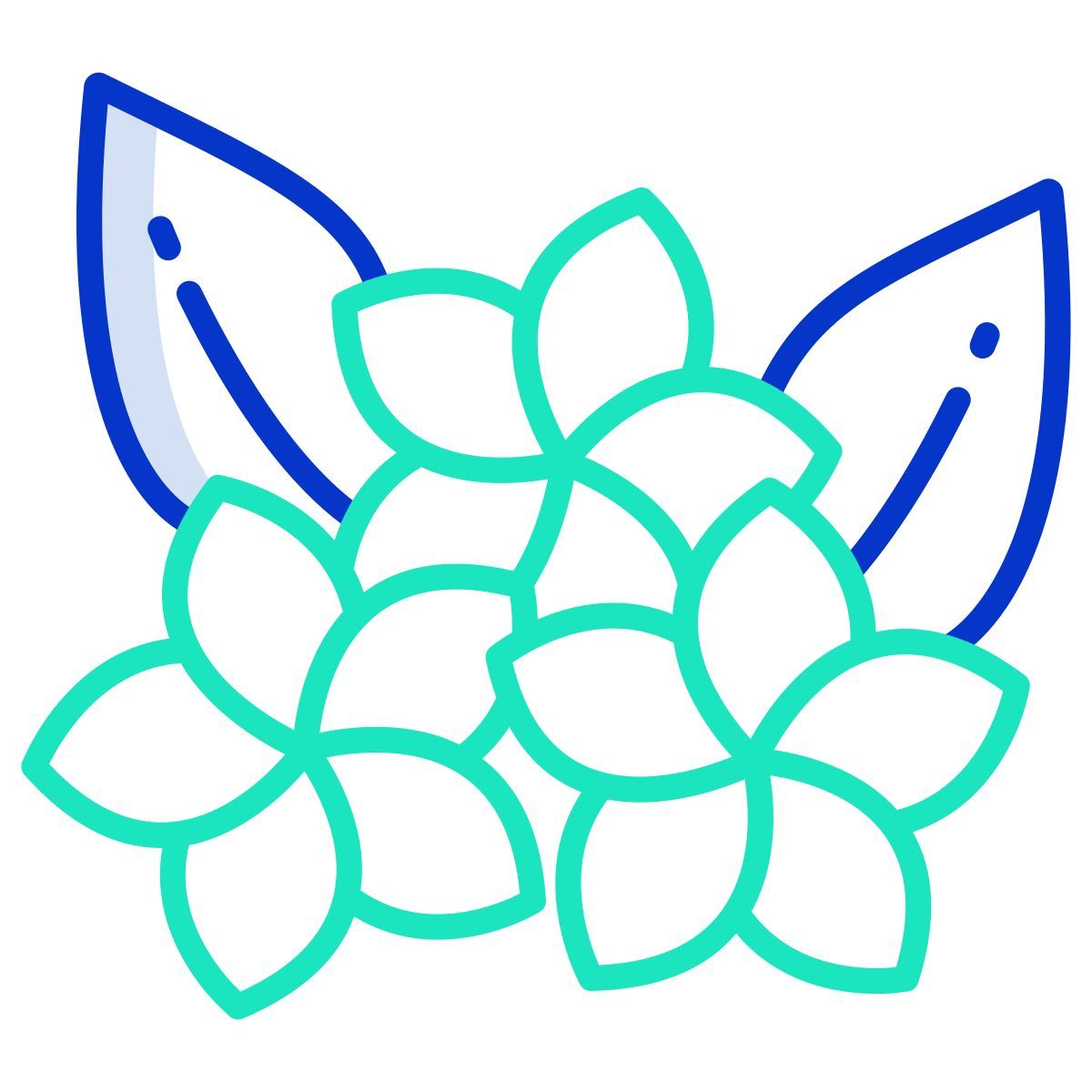 flower icon