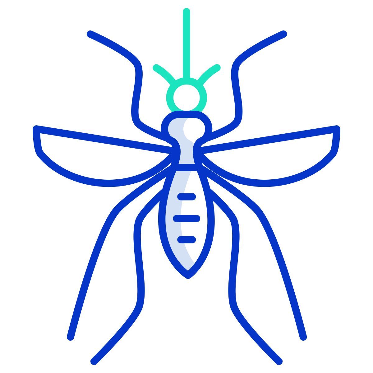 fly icon