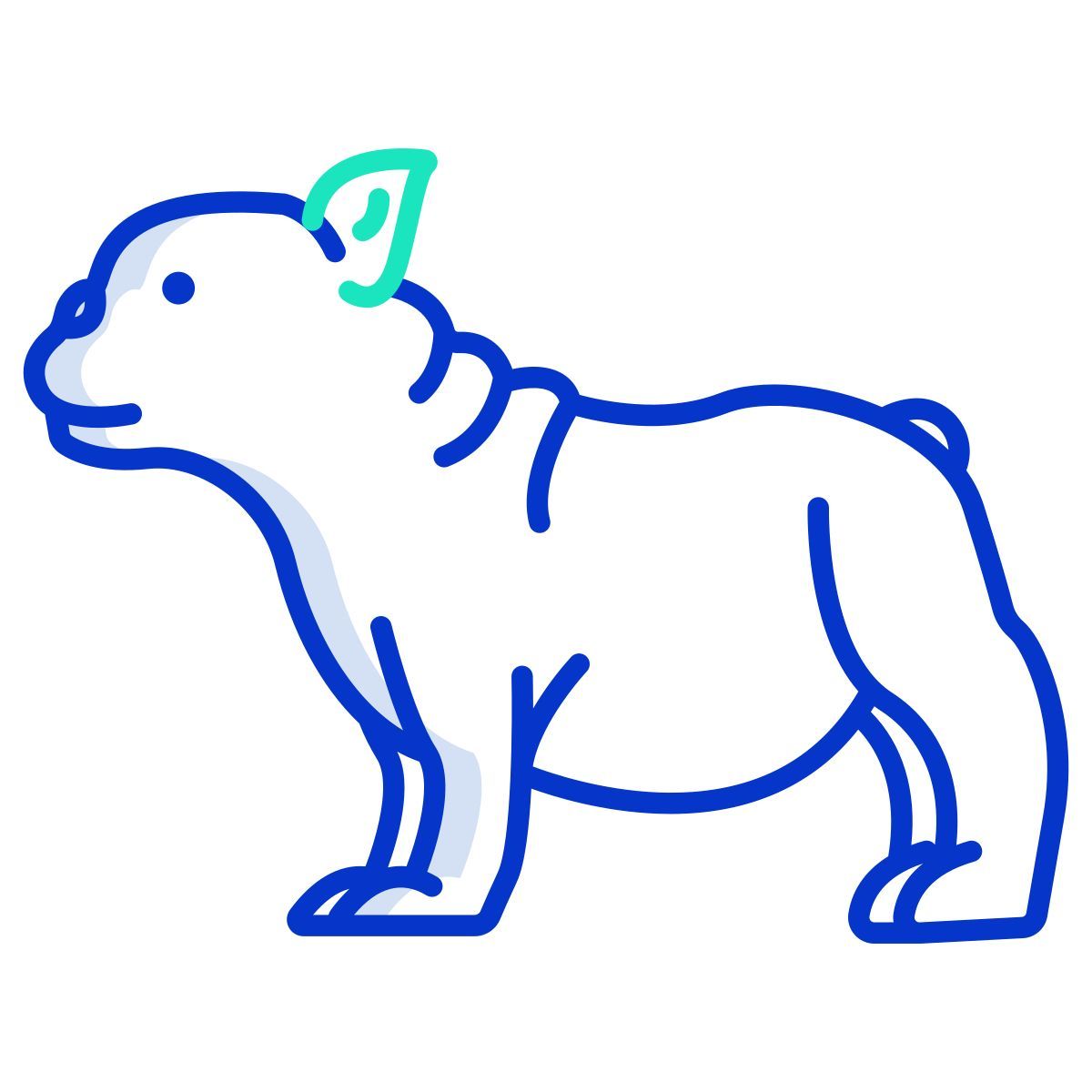french bulldog icon