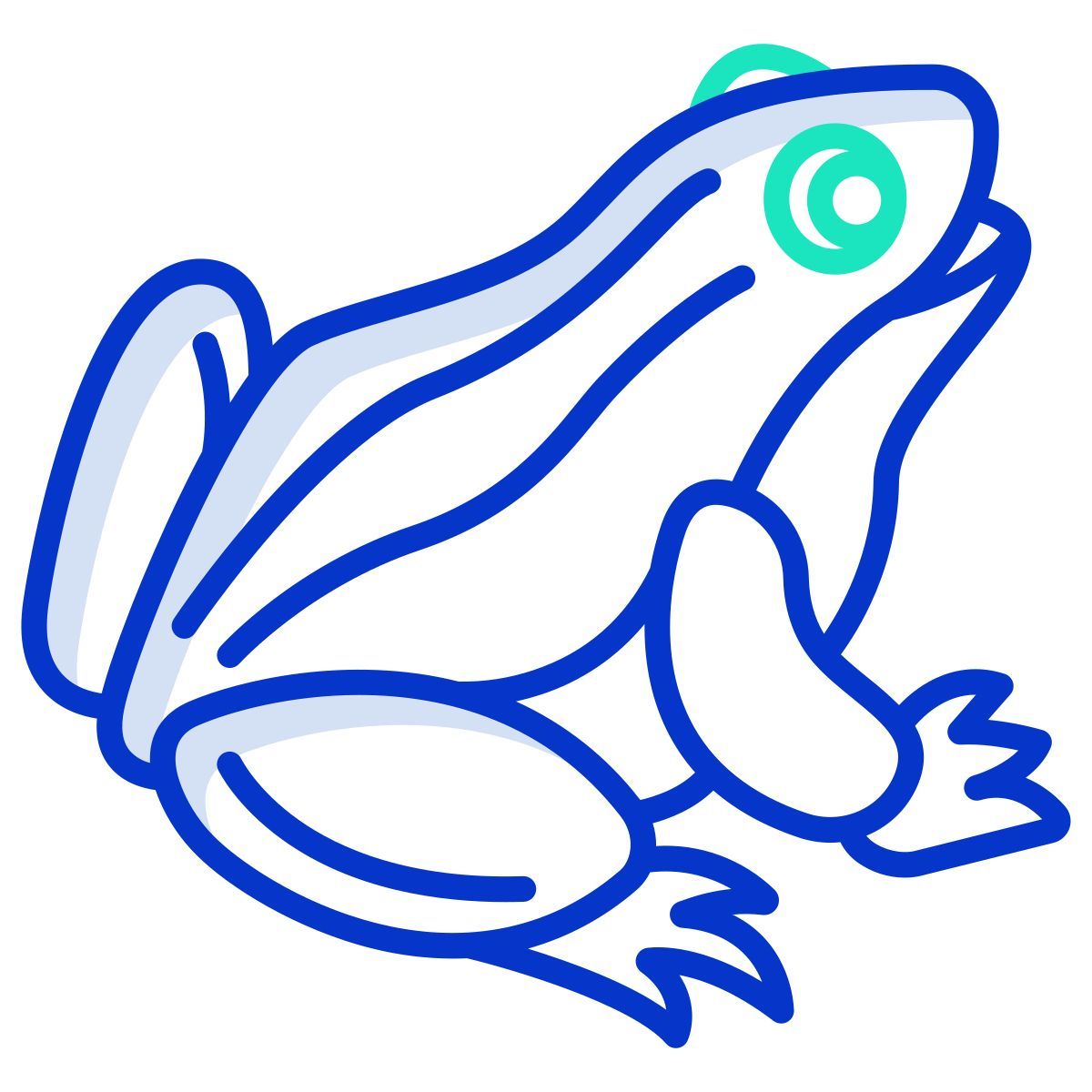 frog icon