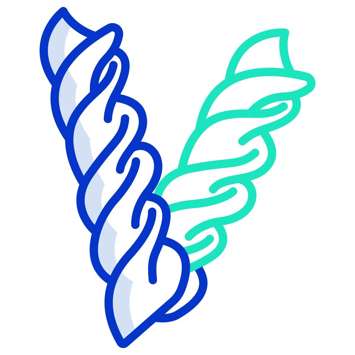 fusilli icon
