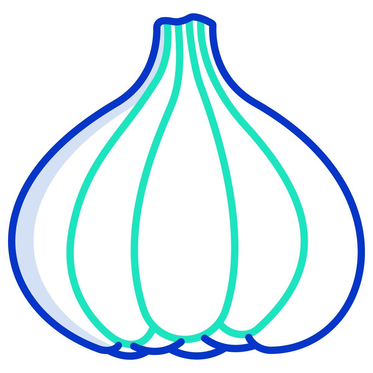 garlic icon