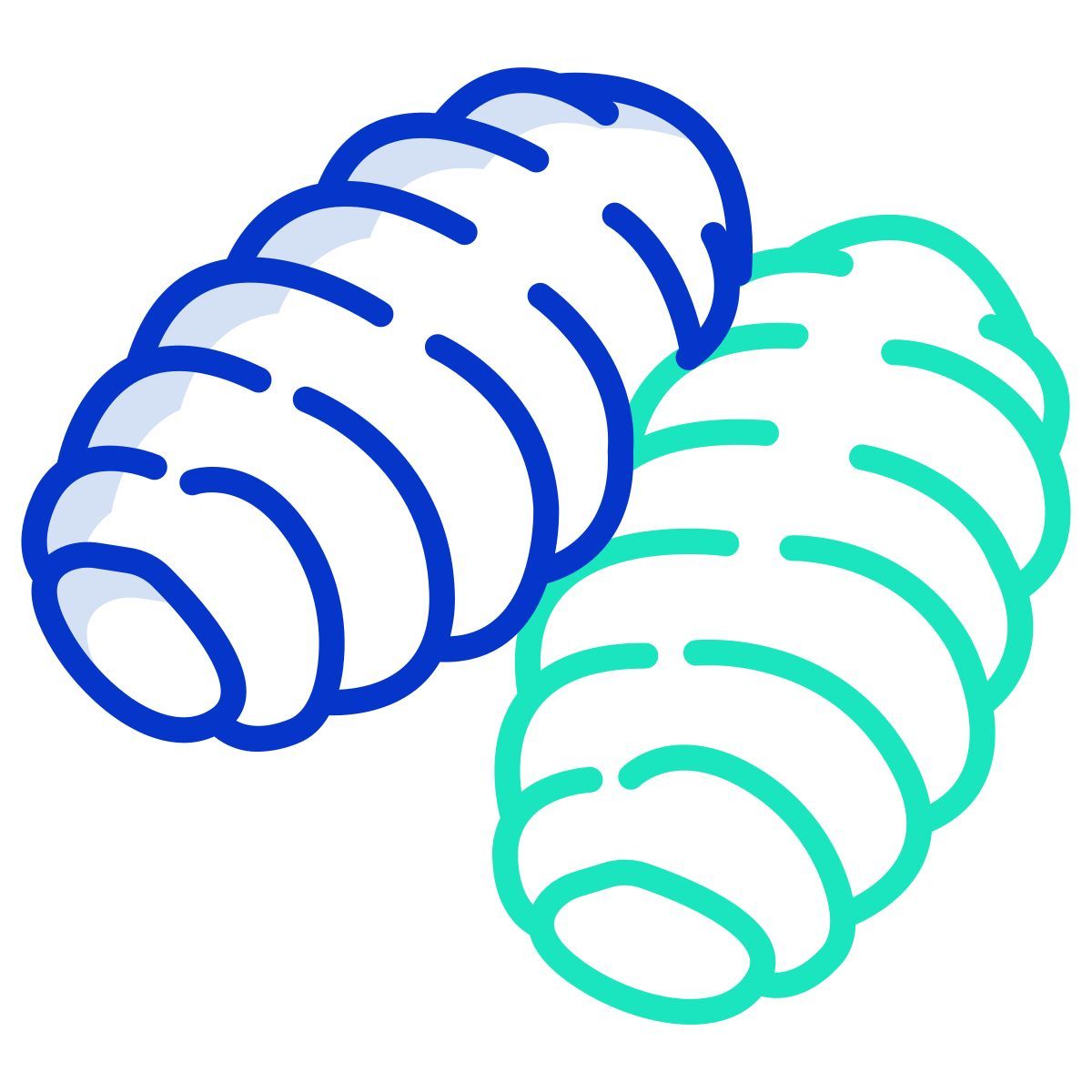 gnocchi icon