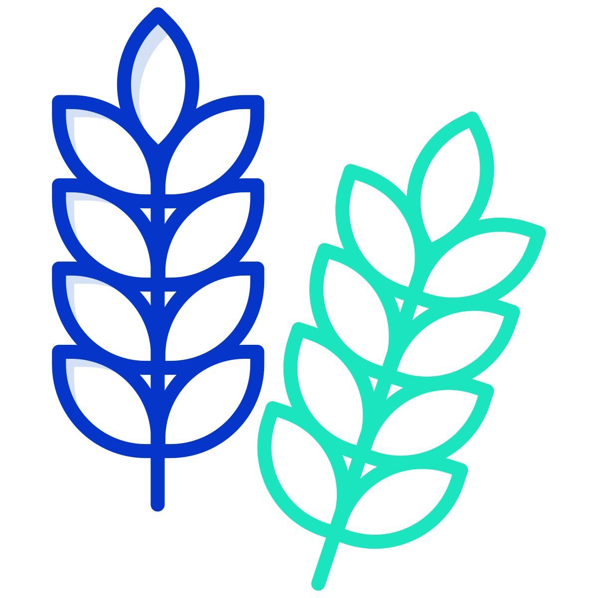 grains icon