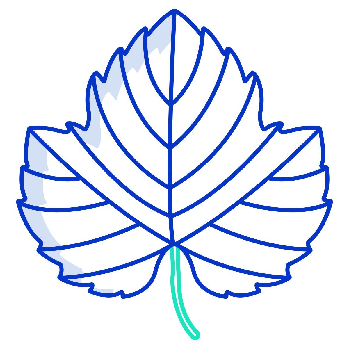 uva icon