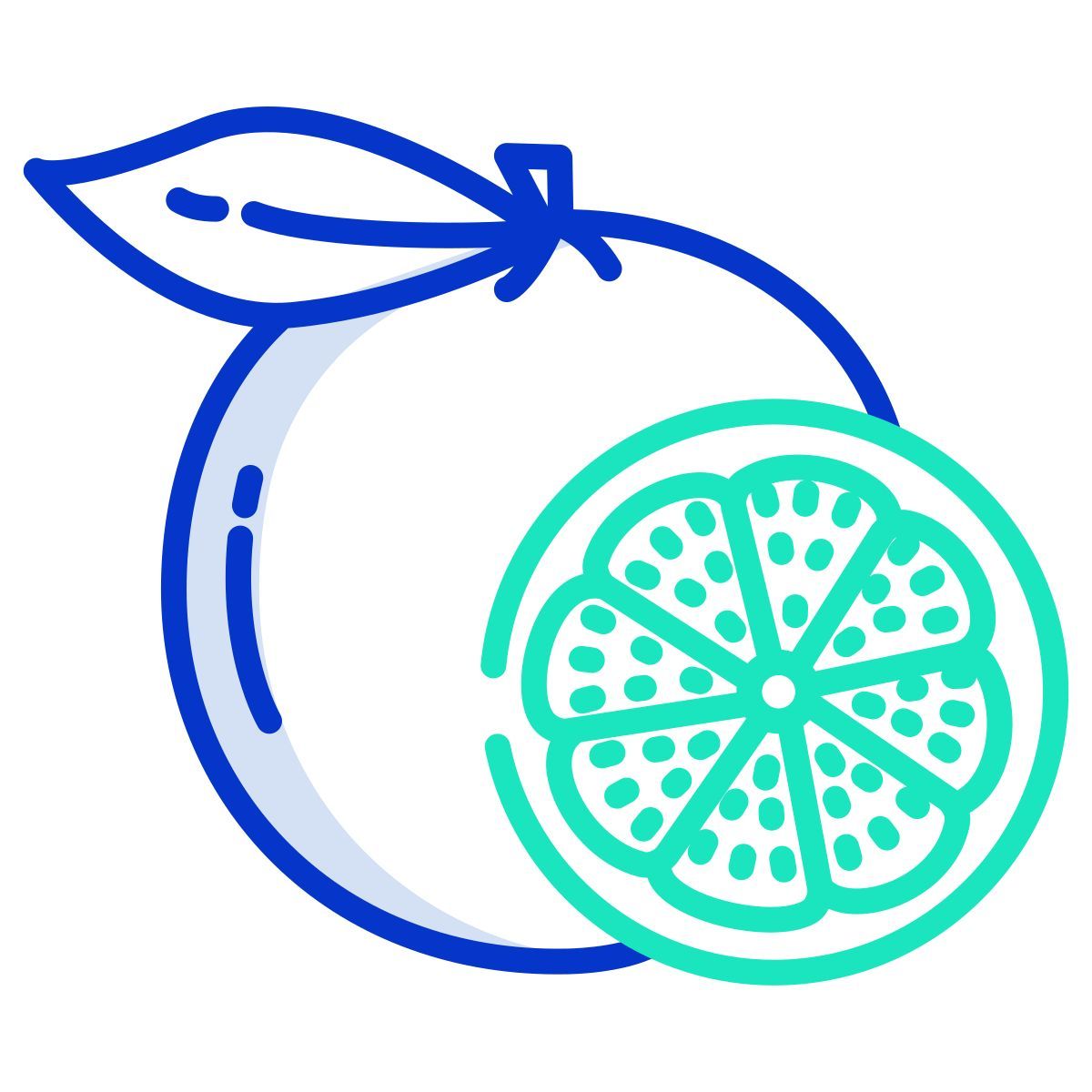 grapefruit icon