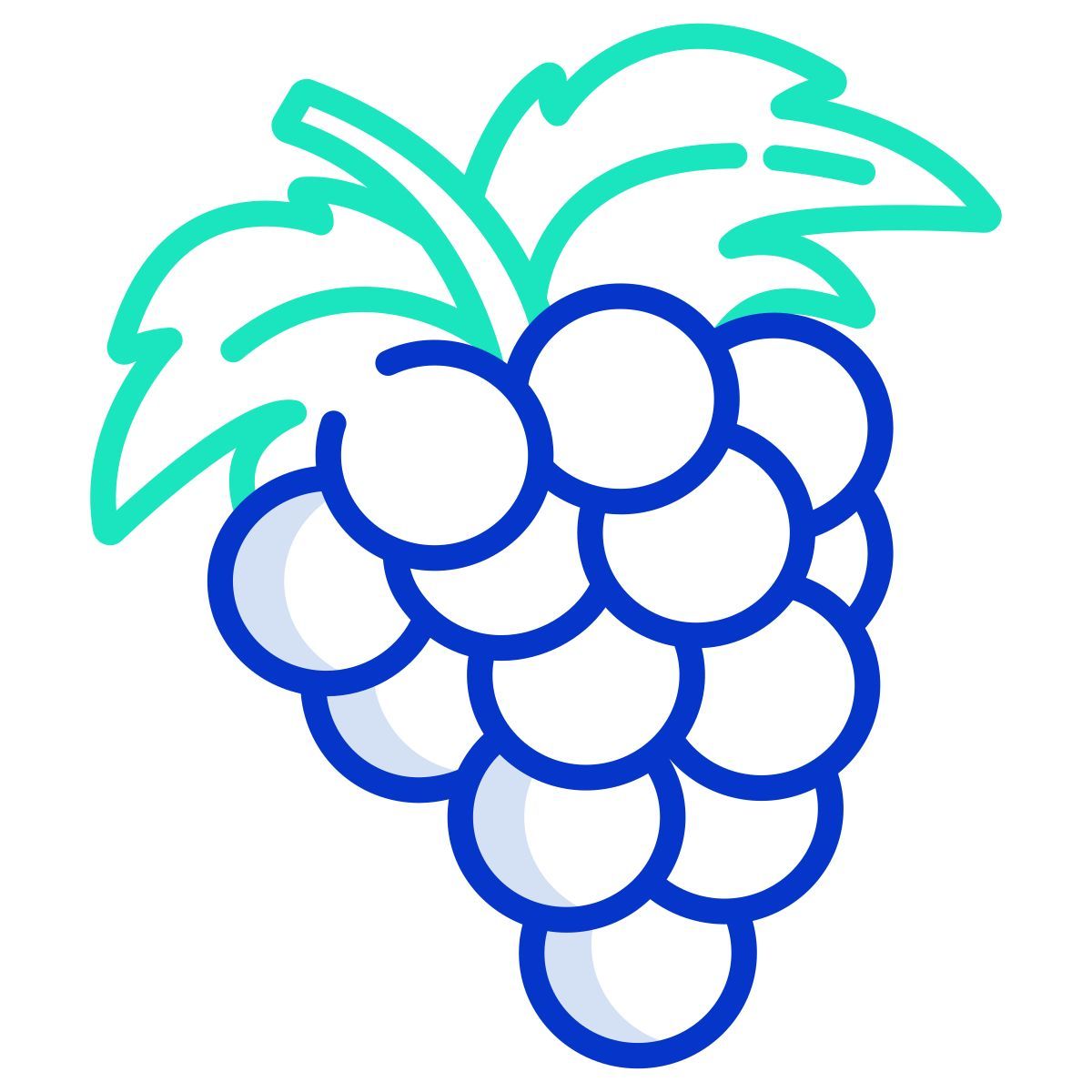grapes icon