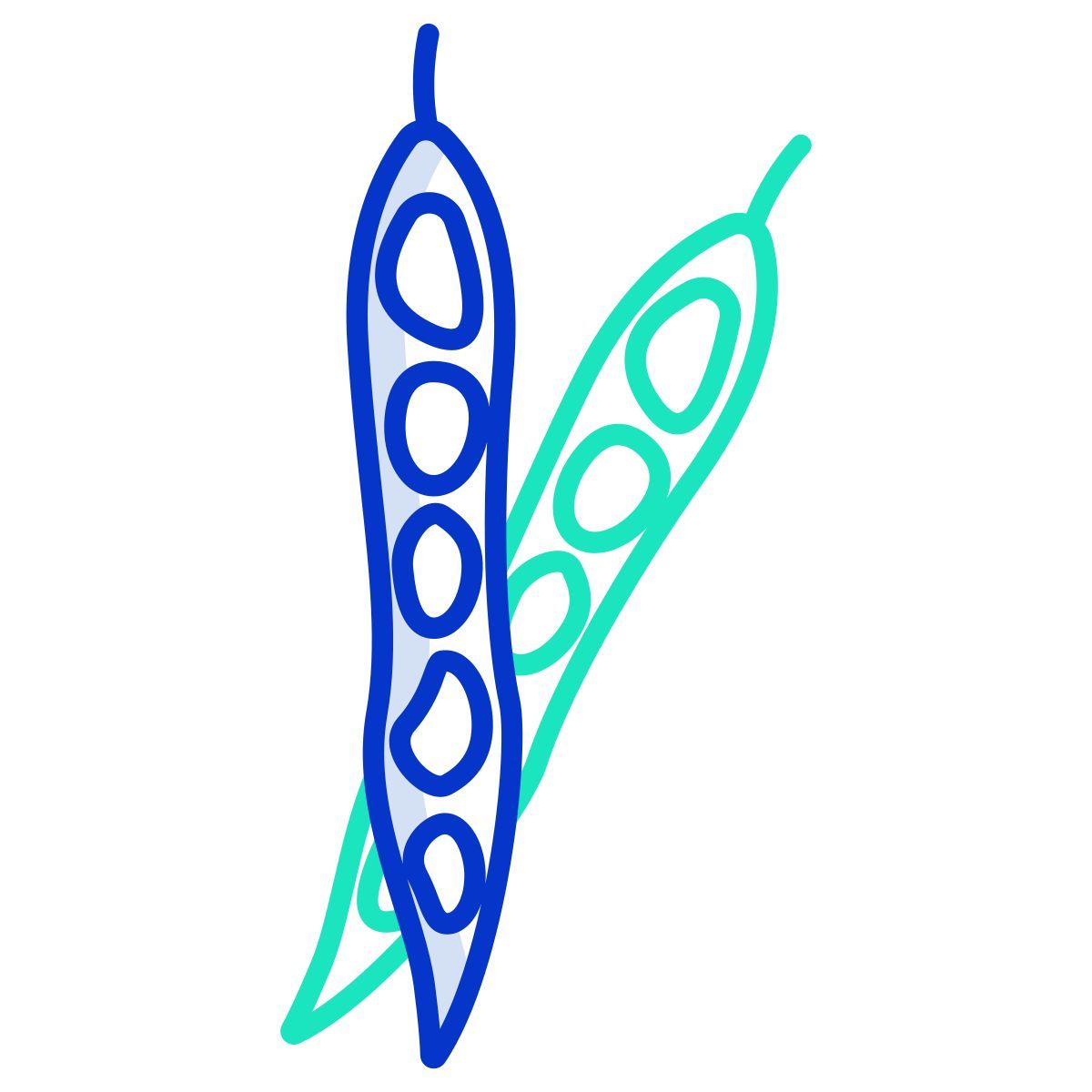 green beans icon