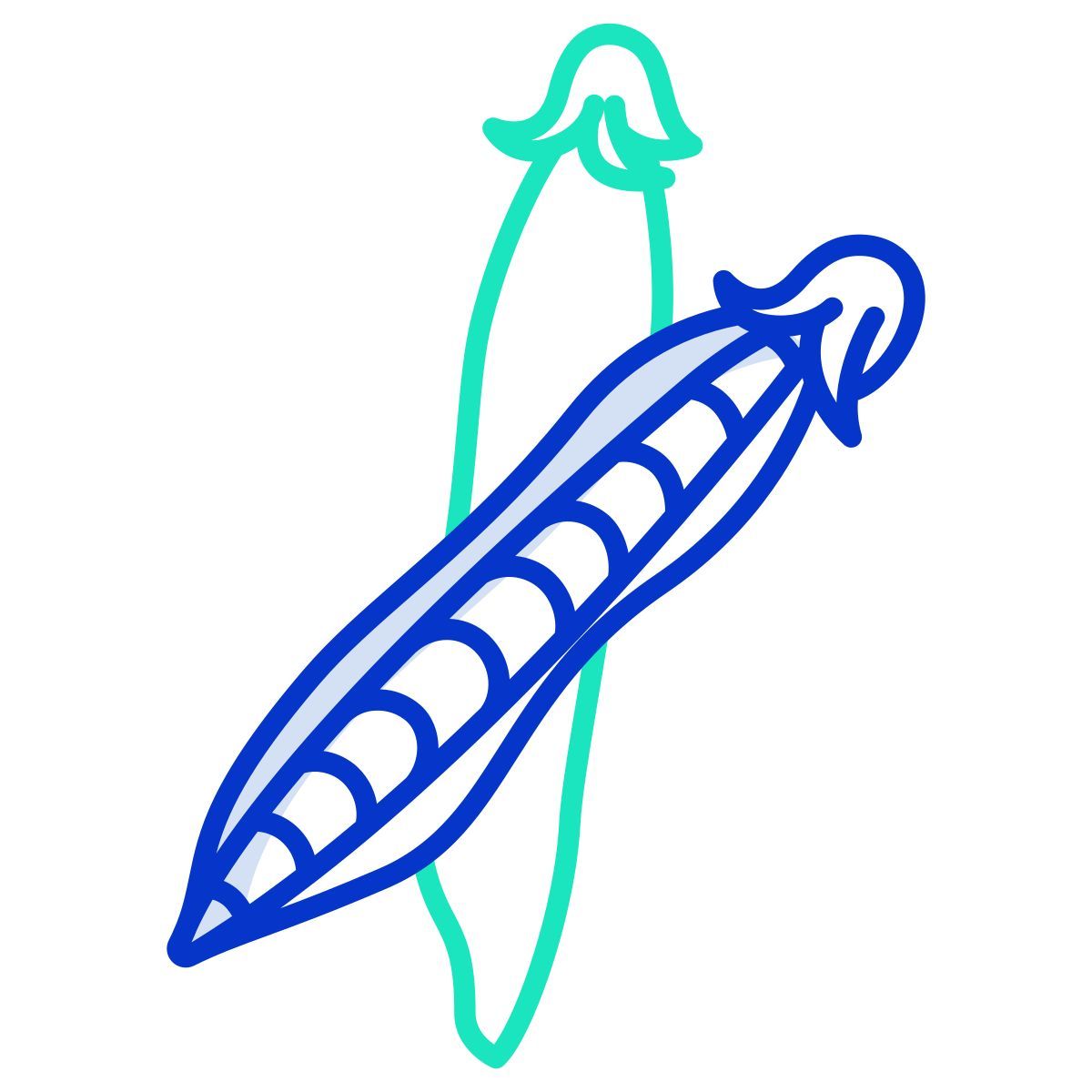 green pea icon