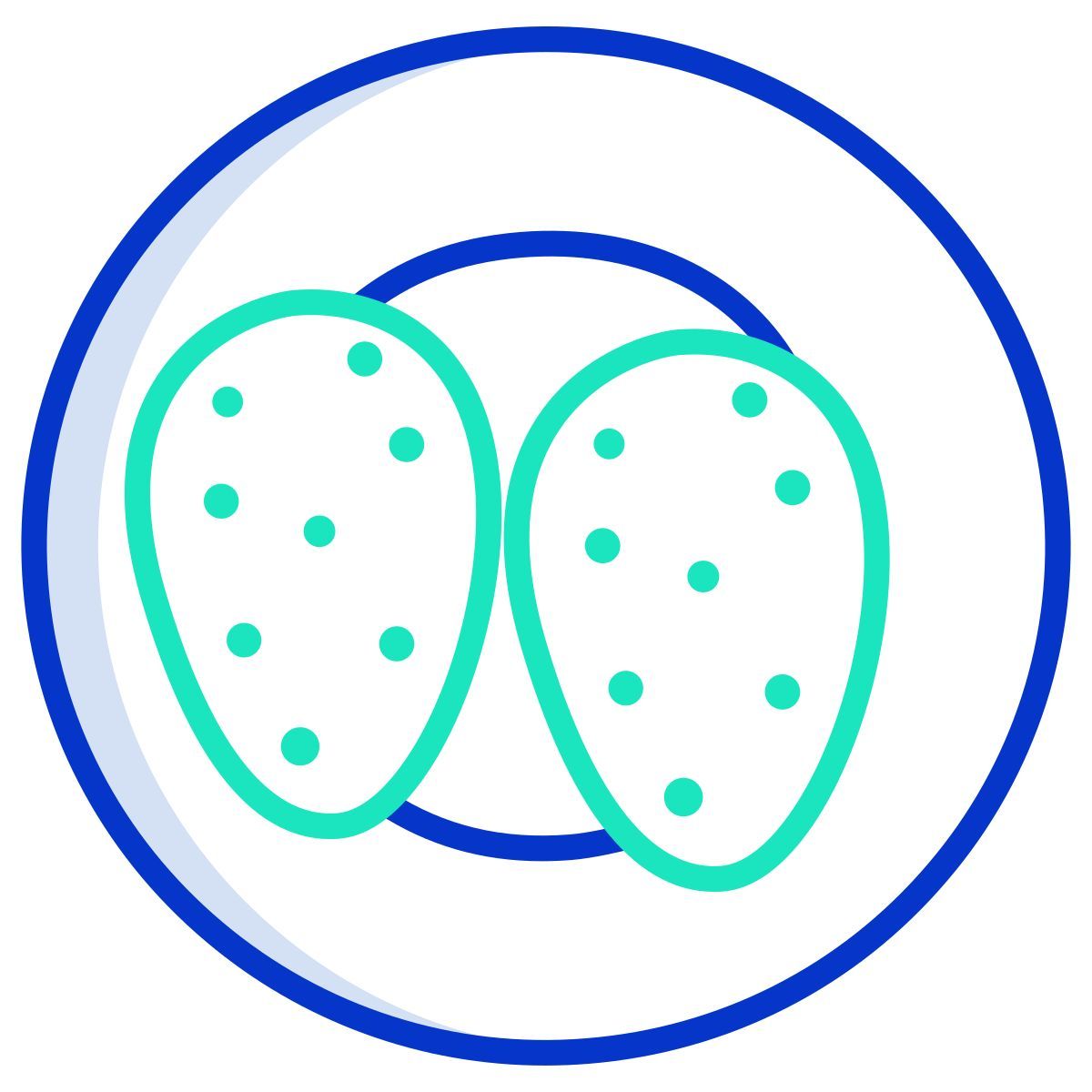 grilled cactus icon