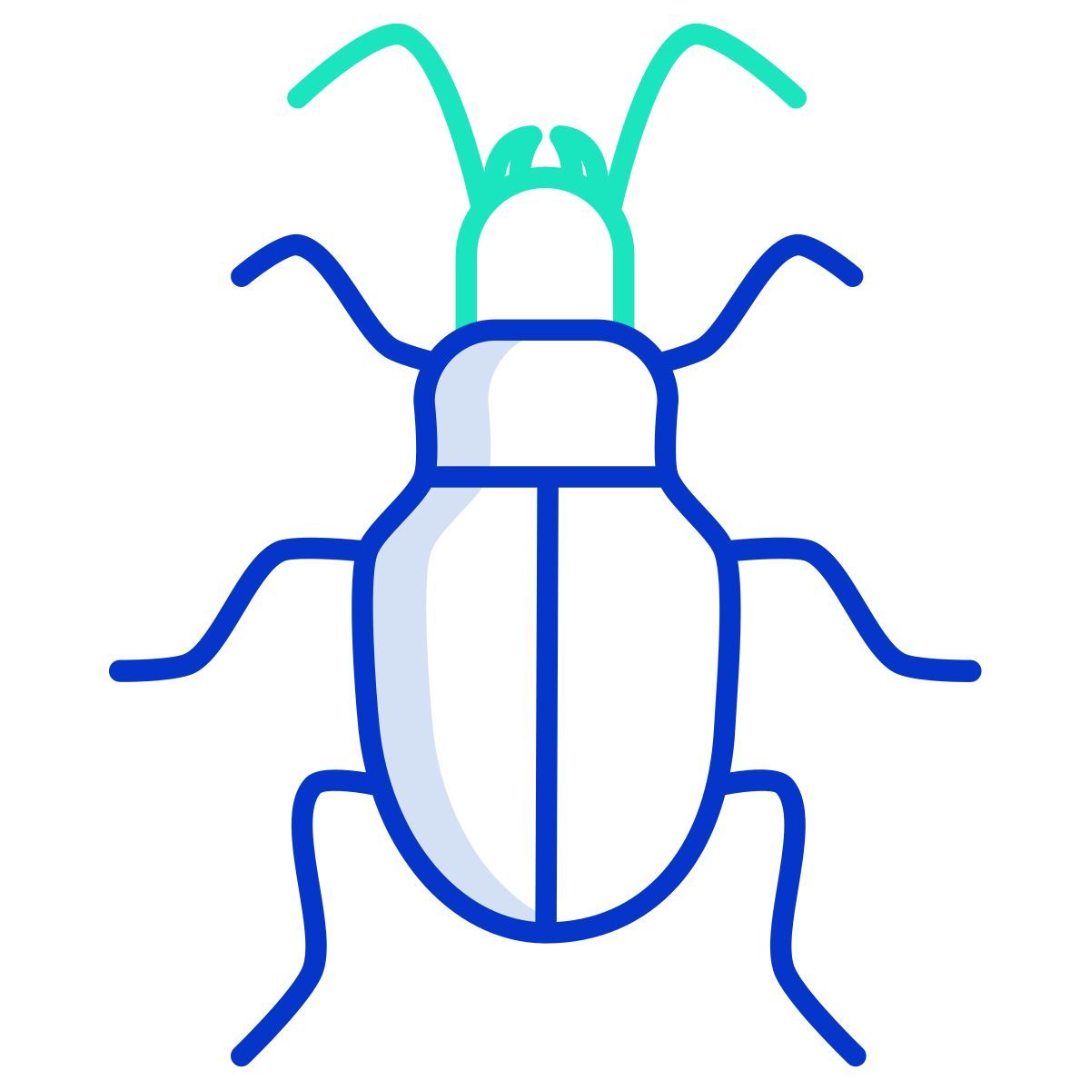 ground beetle icon