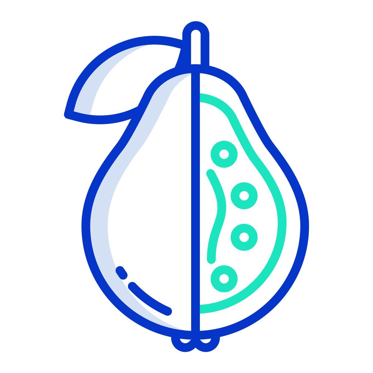 番石榴 icon
