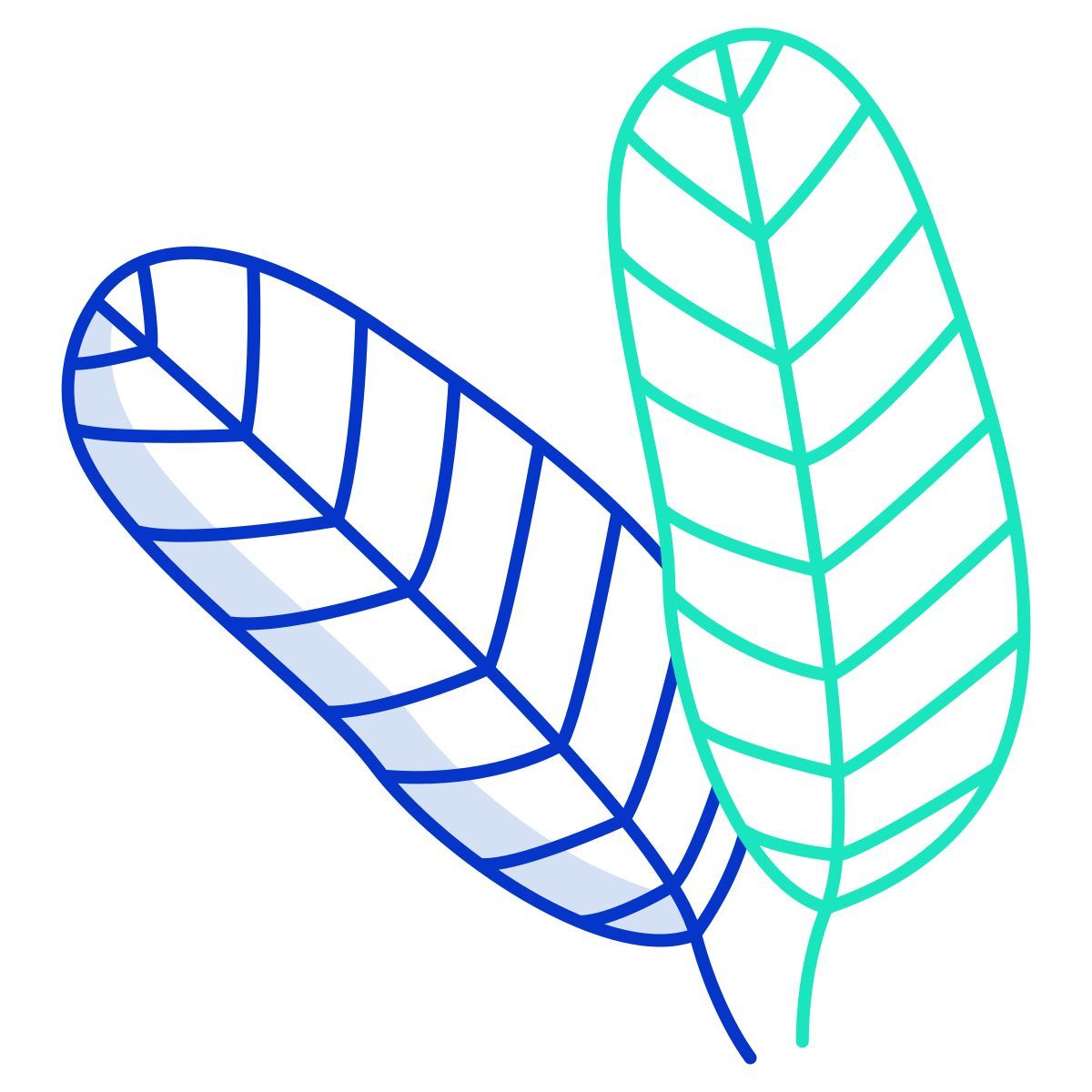 guava icon