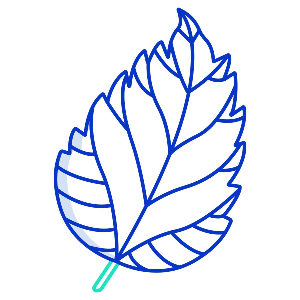 hibiscus icon