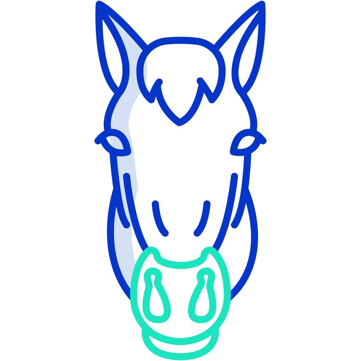 horse icon