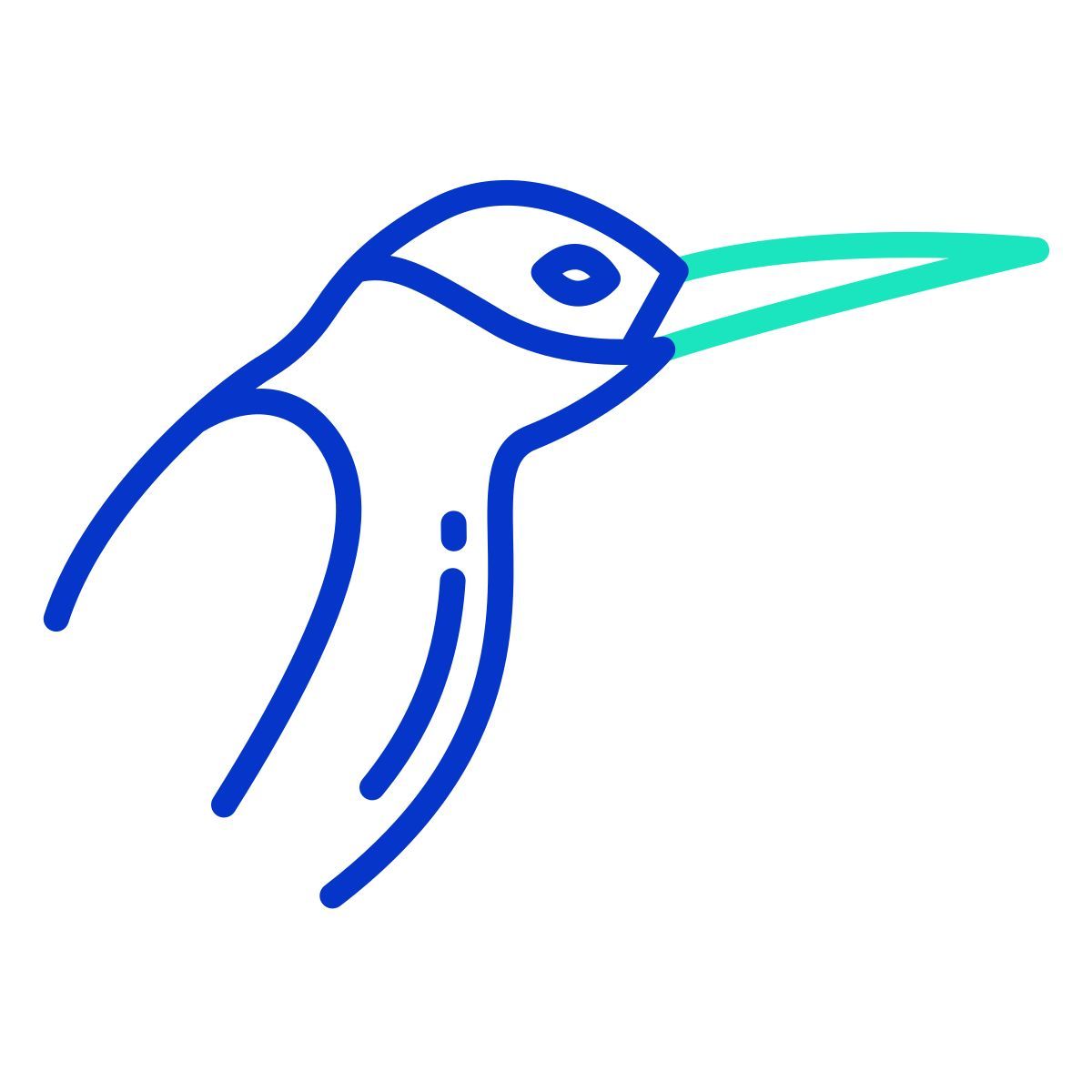 humming bird icon