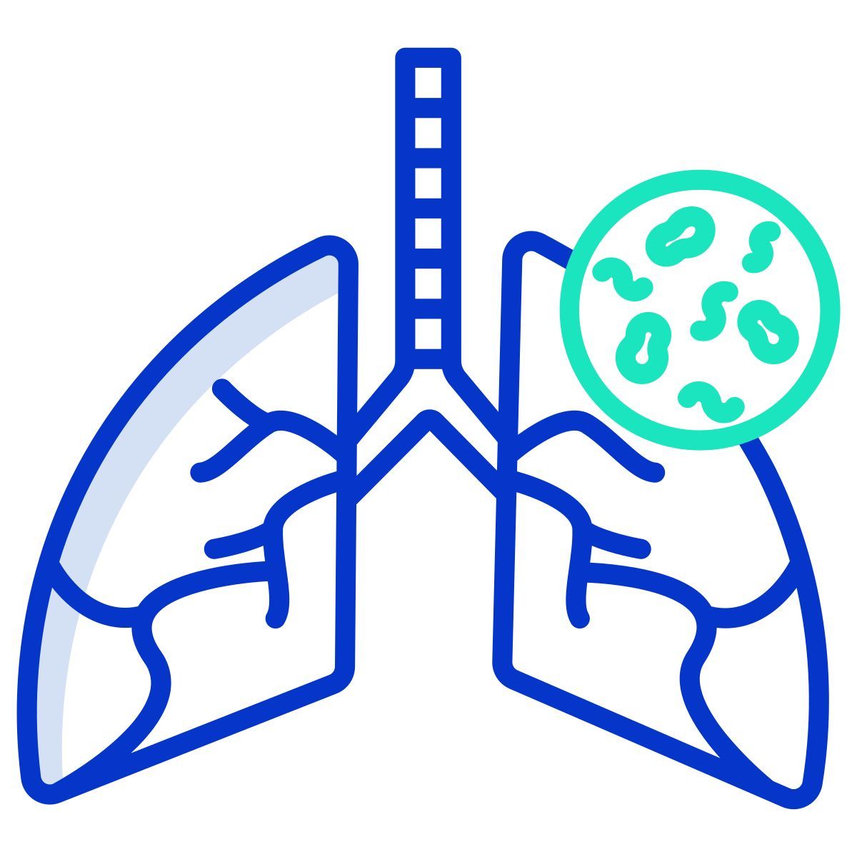 infected lungs icon