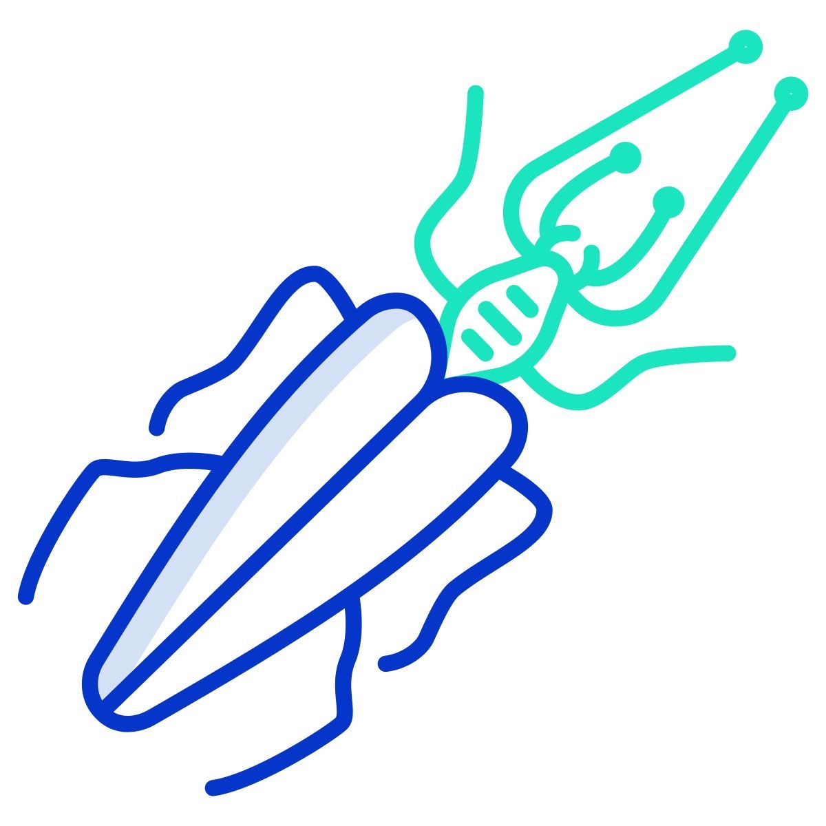 insect icon