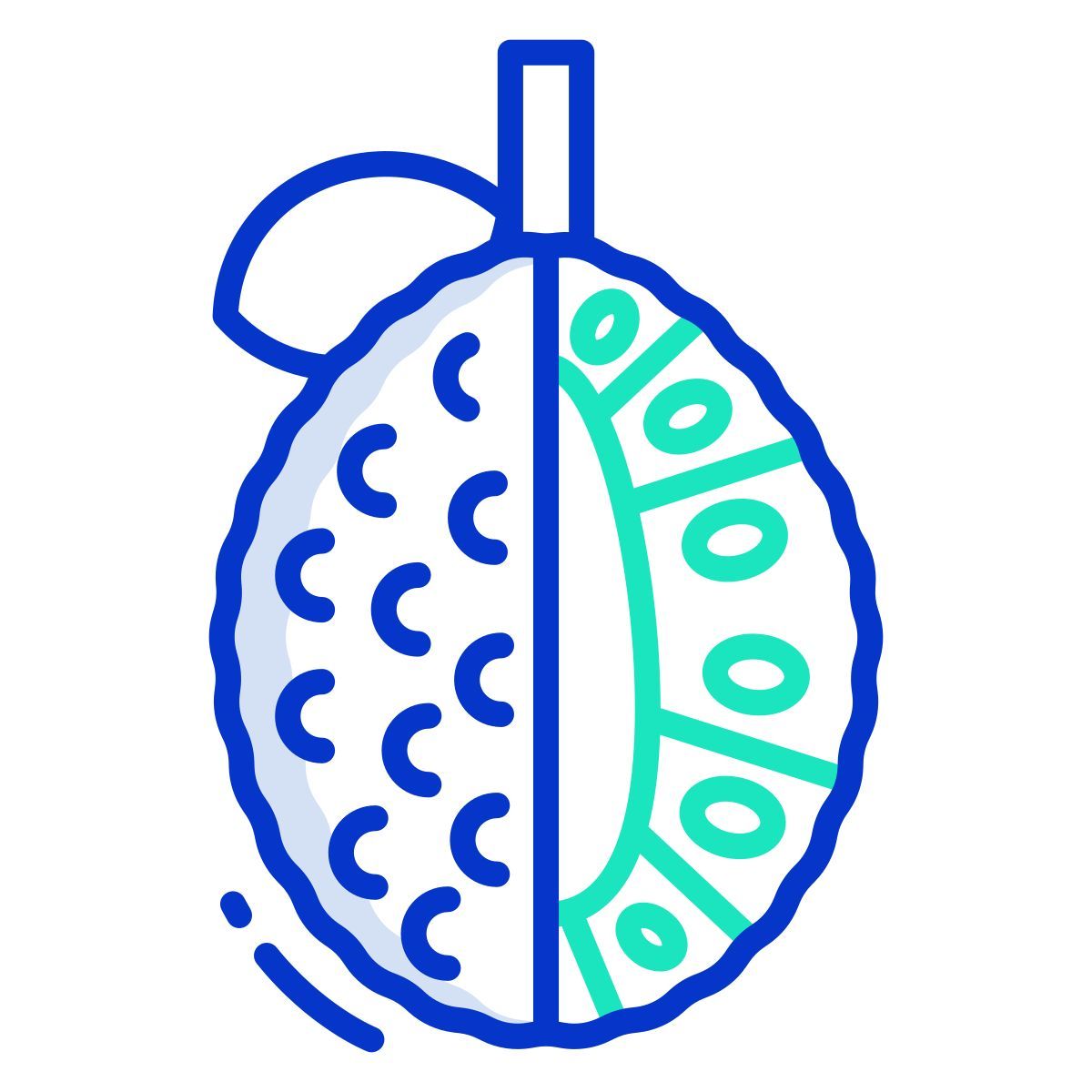 jackfruit icon