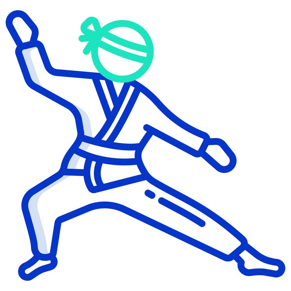 judo icon