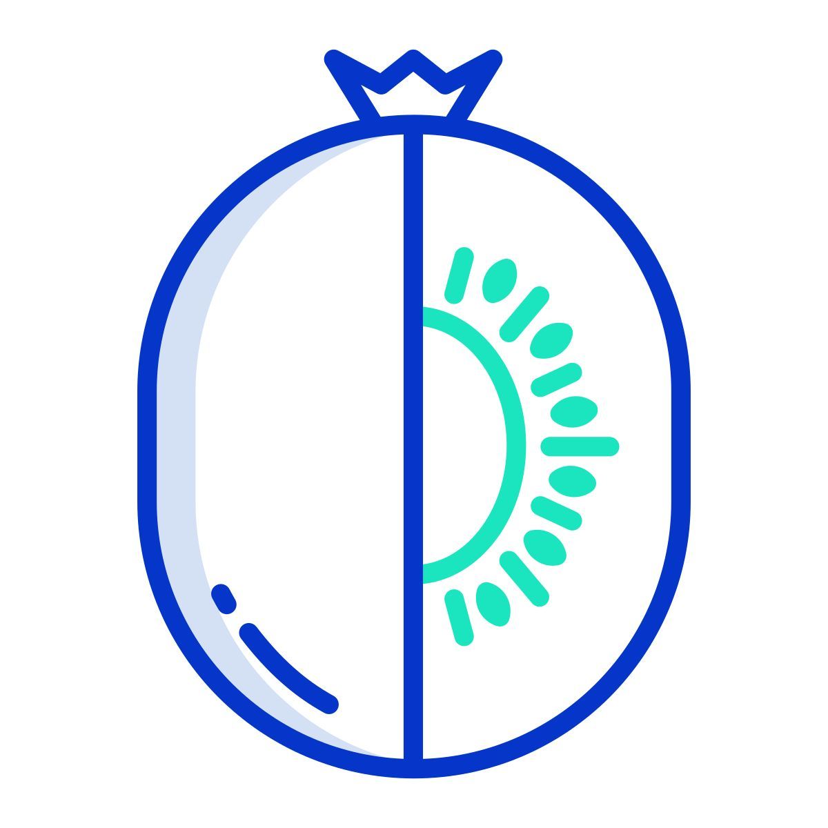 kiwi icon