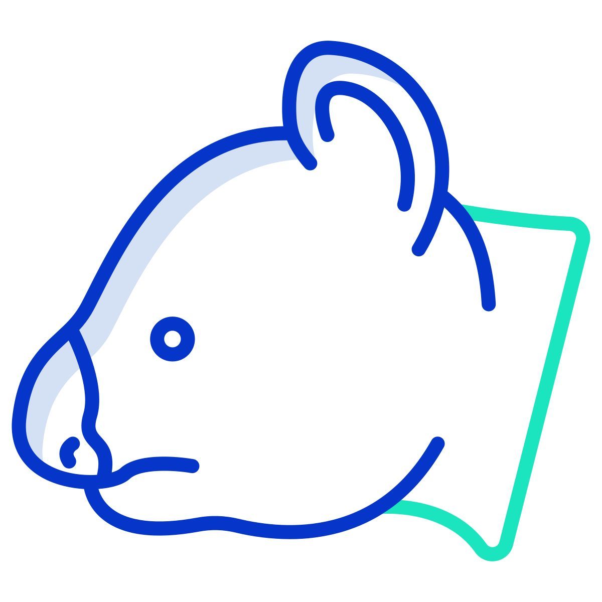 koala icon