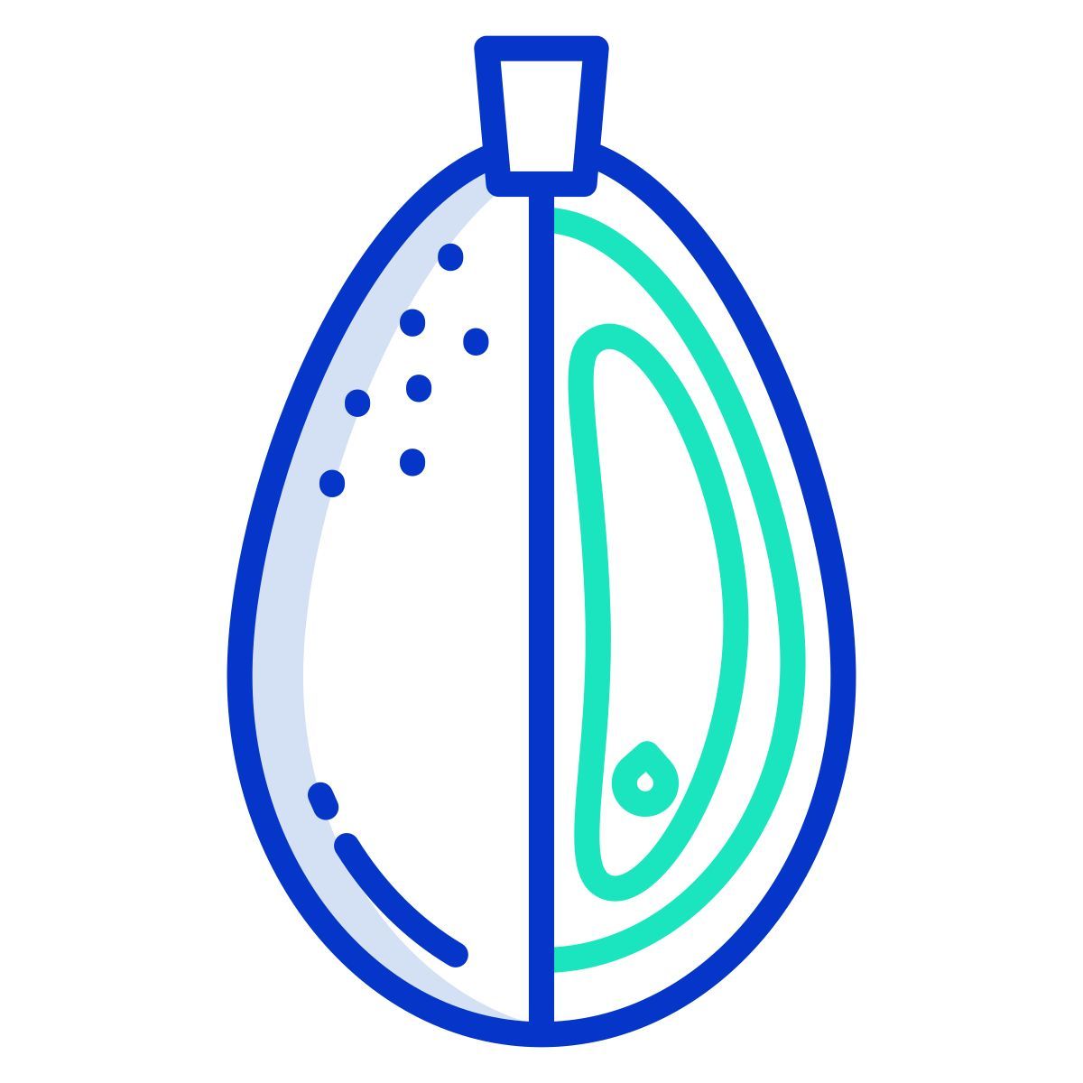 kumquat icon